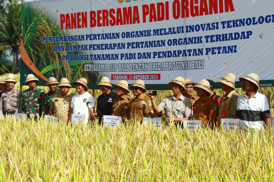 Kadis Pertanian Bali Panen Perdana Padi Organik di Subak Jaka