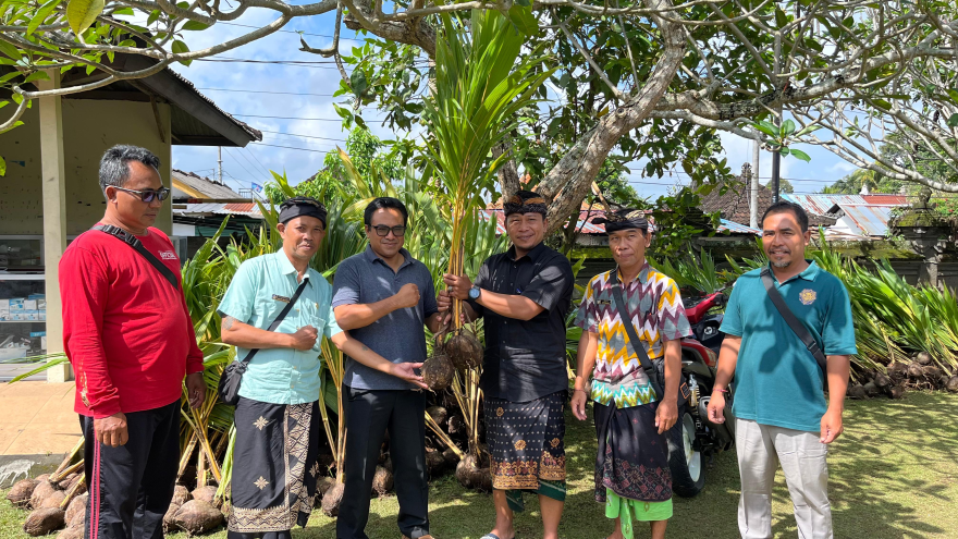 Wujudkan Ketahanan Pangan, Desa Kukuh Marga Ikut Program Penanaman Kelapa Serentak