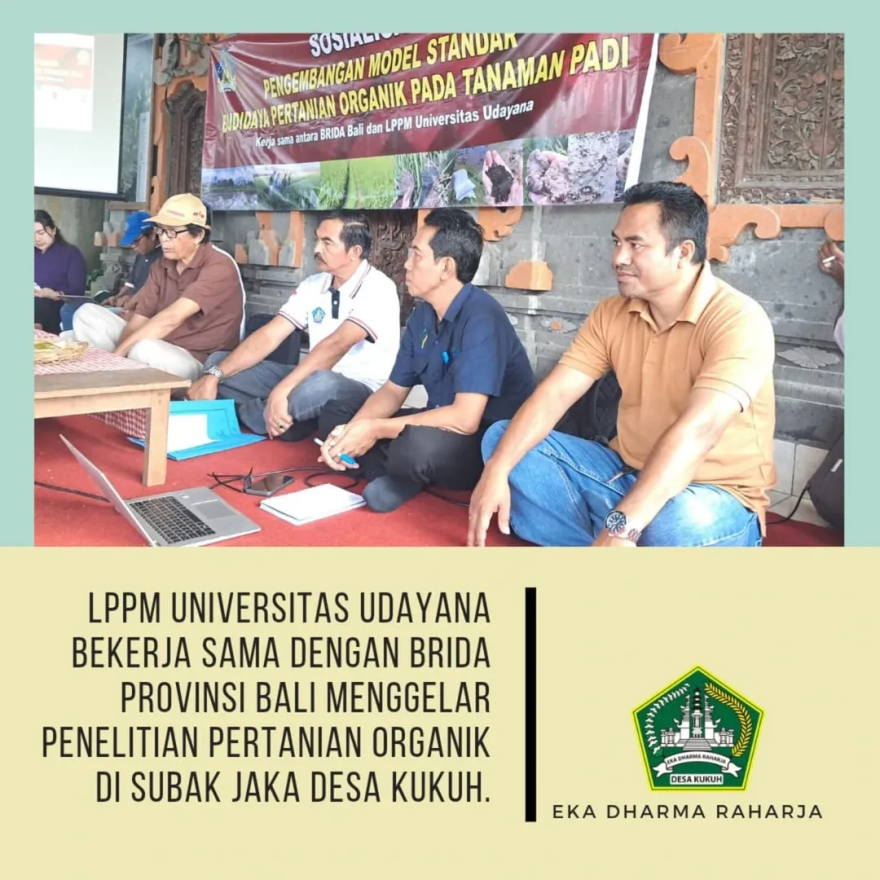 Tim Peneliti Universitas Udayana Teliti Padi Organik di Subak Jaka, Desa Kukuh