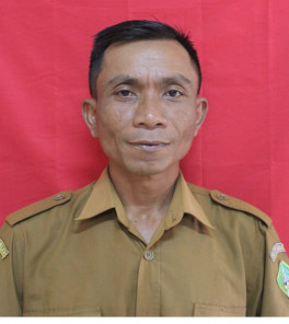 I NYOMAN TIRTAYASA